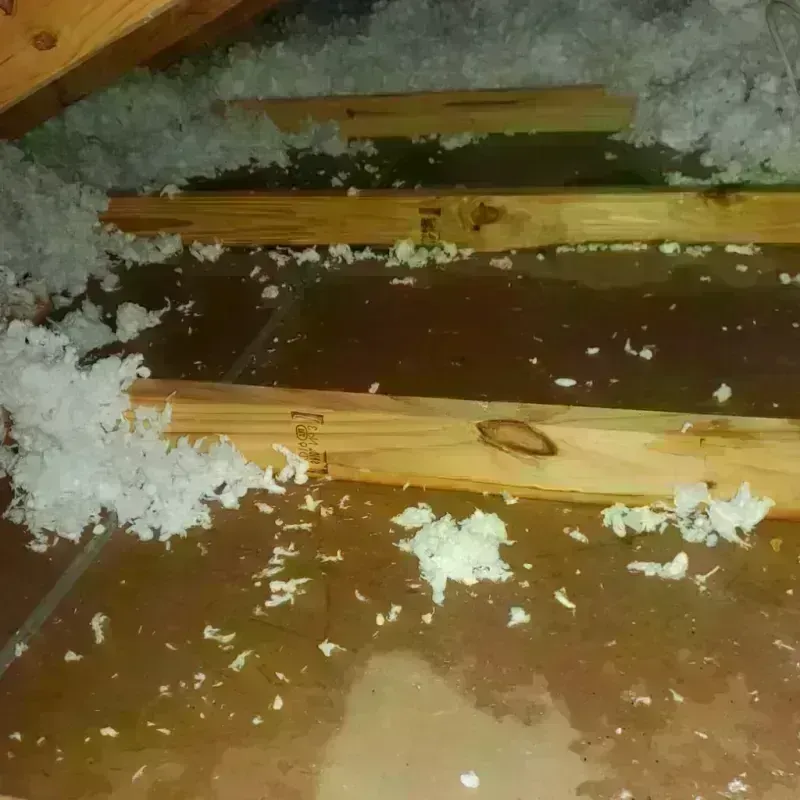 Attic Water Damage in Luquillo, PR